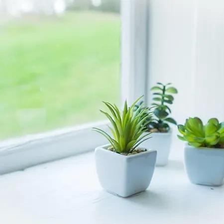 Vrangfoss Sluse Pensión *