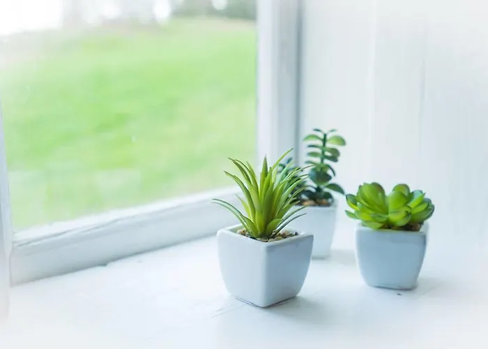 Vrangfoss Sluse Maison d'hôtes *